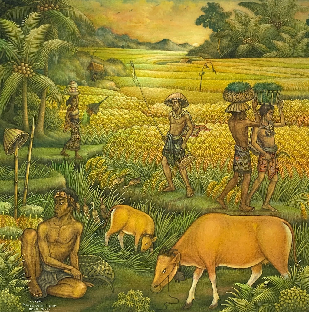 Aktifitas Di Sawah