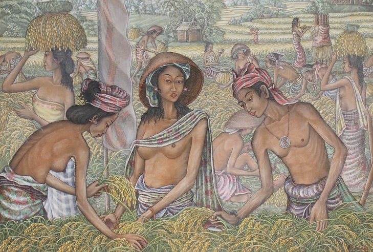Working on The Rice Field